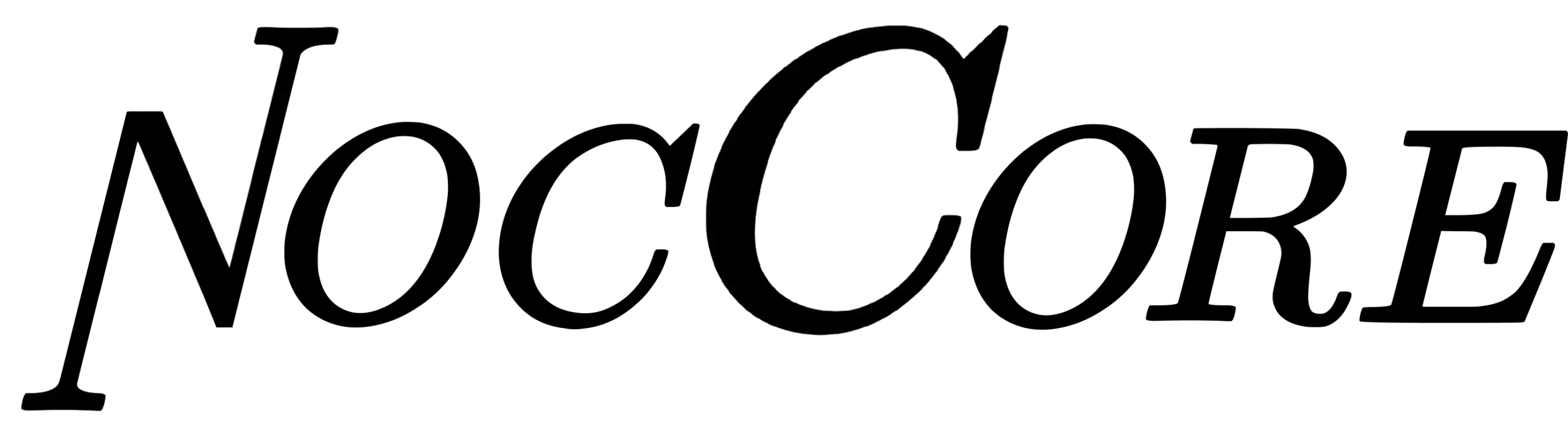 NocCore-logo